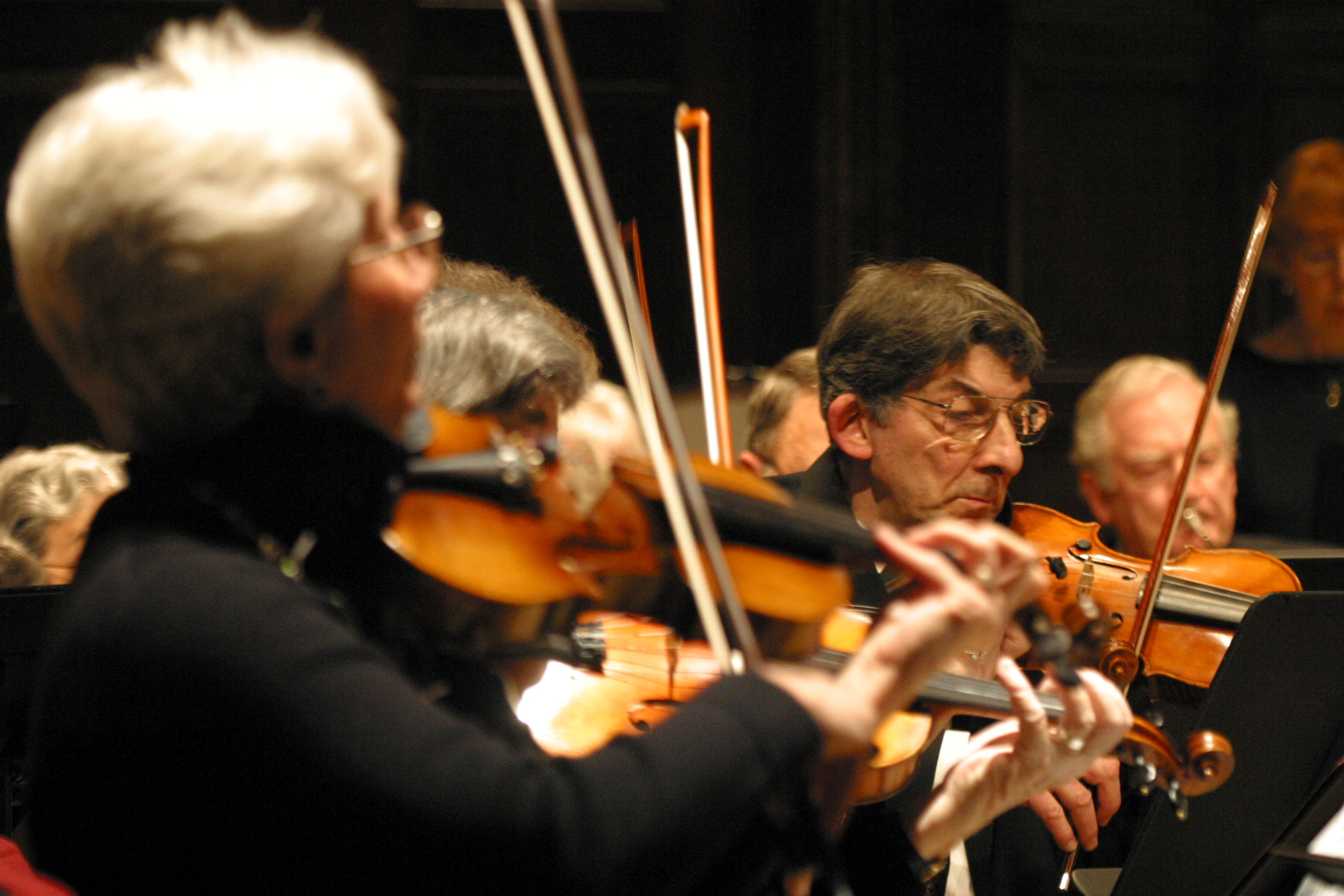 New Horizons String Orchestra image