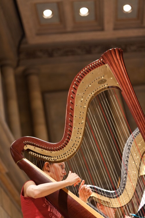 ESM_Strings_260
