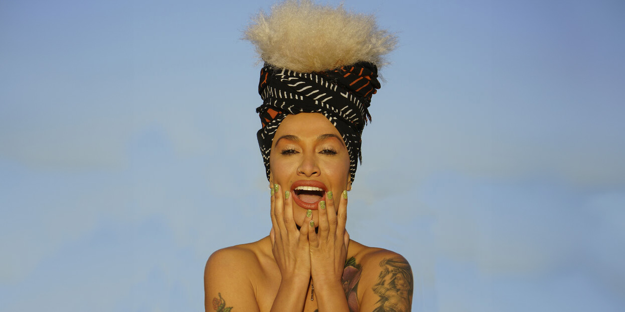 Lady-Blackbird_multicrop Lady Blackbird photo