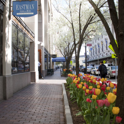 Miller Center Miller Center