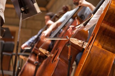 bass-instrument