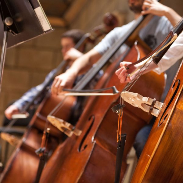 bass-instrument